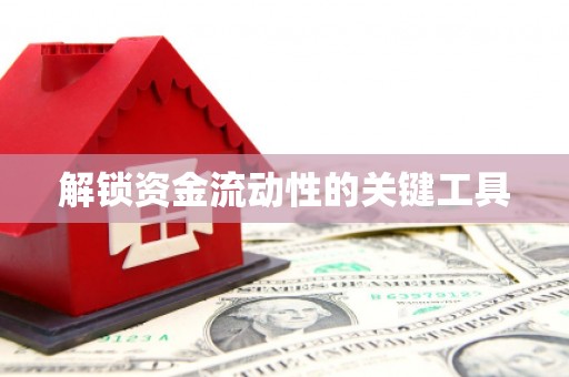 鼎湖解锁资金流动性的关键工具