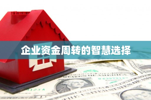 鼎湖企业资金周转的智慧选择