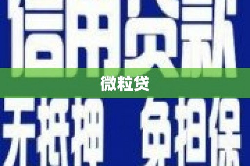 鼎湖微粒贷