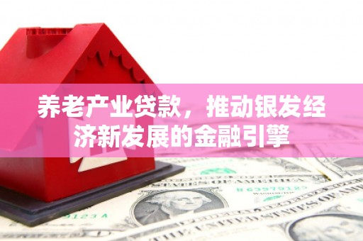鼎湖养老产业贷款，推动银发经济新发展的金融引擎