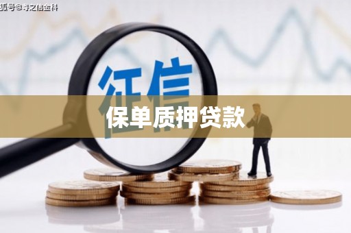 鼎湖保单质押贷款