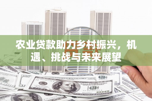 鼎湖农业贷款助力乡村振兴，机遇、挑战与未来展望
