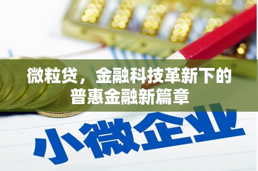 鼎湖微粒贷，金融科技革新下的普惠金融新篇章