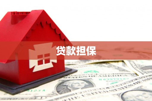 鼎湖贷款担保