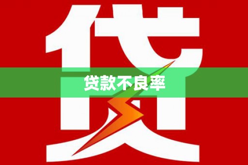 鼎湖贷款不良率