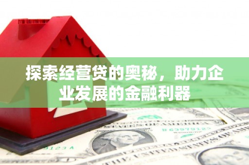 鼎湖探索经营贷的奥秘，助力企业发展的金融利器