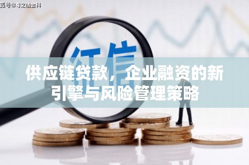 鼎湖供应链贷款，企业融资的新引擎与风险管理策略