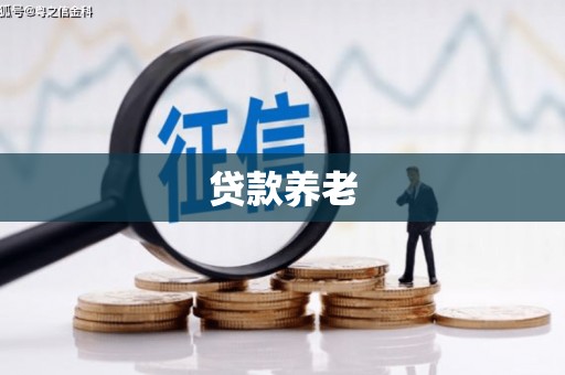 鼎湖贷款养老