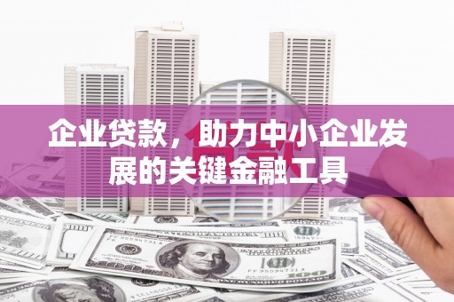 鼎湖企业贷款，助力中小企业发展的关键金融工具