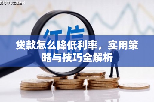 鼎湖贷款怎么降低利率，实用策略与技巧全解析