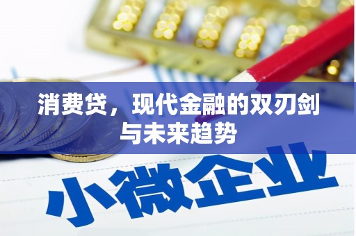 鼎湖消费贷，现代金融的双刃剑与未来趋势
