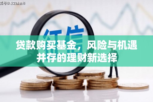 鼎湖贷款购买基金，风险与机遇并存的理财新选择