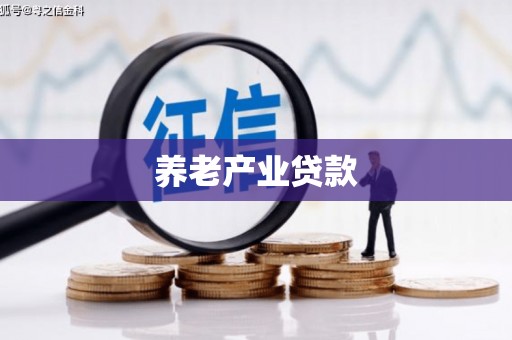 鼎湖养老产业贷款