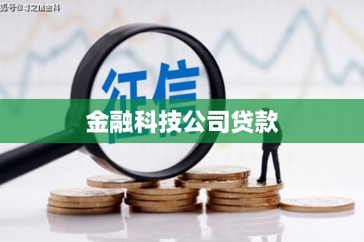 鼎湖金融科技公司贷款
