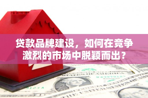鼎湖贷款品牌建设，如何在竞争激烈的市场中脱颖而出？
