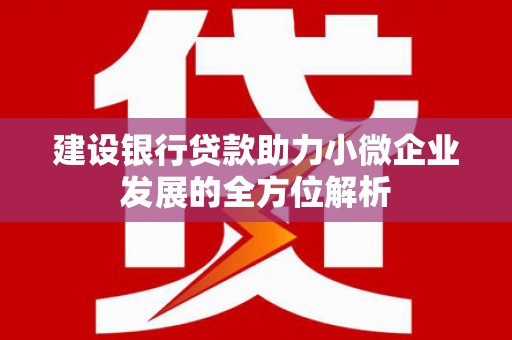鼎湖建设银行贷款助力小微企业发展的全方位解析