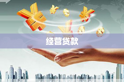 鼎湖经营贷款