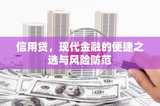 鼎湖信用贷，现代金融的便捷之选与风险防范