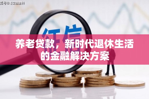 鼎湖养老贷款，新时代退休生活的金融解决方案