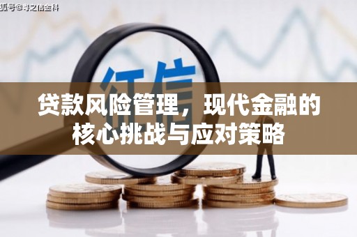 鼎湖贷款风险管理，现代金融的核心挑战与应对策略