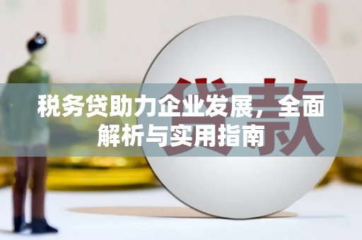 鼎湖税务贷助力企业发展，全面解析与实用指南