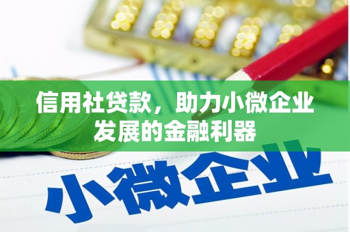 鼎湖信用社贷款，助力小微企业发展的金融利器