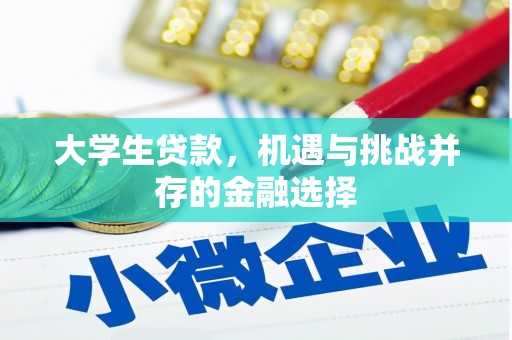 鼎湖大学生贷款，机遇与挑战并存的金融选择
