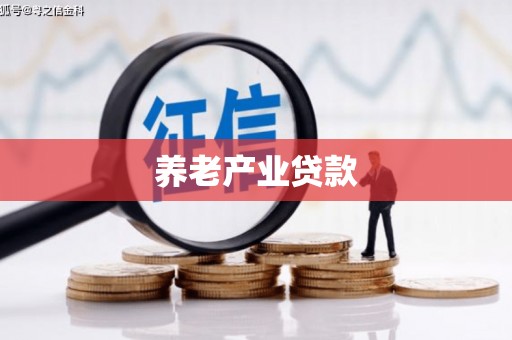 鼎湖养老产业贷款