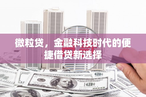 鼎湖微粒贷，金融科技时代的便捷借贷新选择
