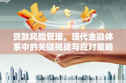 鼎湖贷款风险管理，现代金融体系中的关键挑战与应对策略