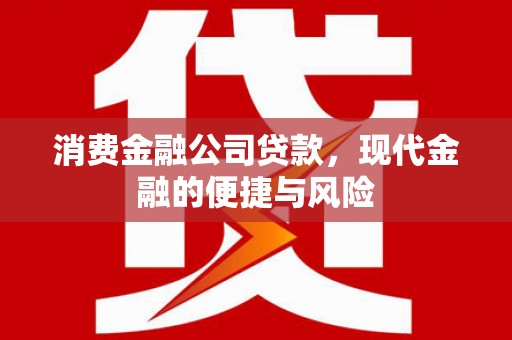 鼎湖消费金融公司贷款，现代金融的便捷与风险