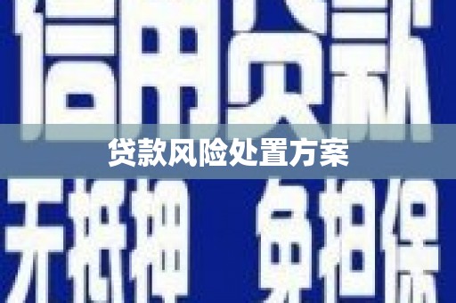 鼎湖贷款风险处置方案